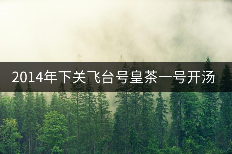 2014年下關飛臺號皇茶一號開湯品鑒