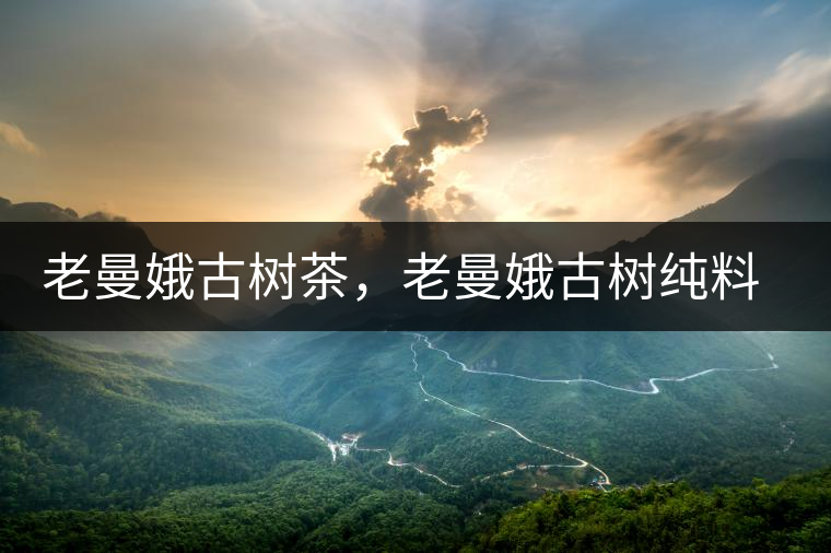 老曼娥古樹茶，老曼娥古樹純料生餅