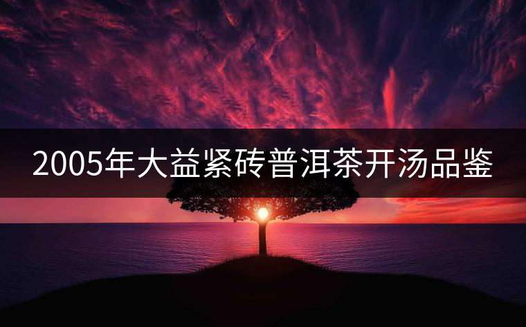 2005年大益緊磚普洱茶開湯品鑒 2005年大益緊磚普洱茶開湯品鑒