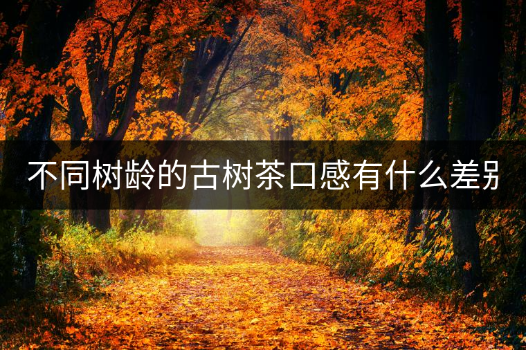 不同樹(shù)齡的古樹(shù)茶口感有什么差別？
