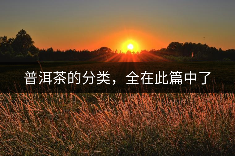 普洱茶的分類，全在此篇中了