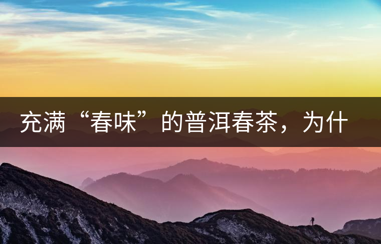 充滿“春味”的普洱春茶，為什么值得期待？
