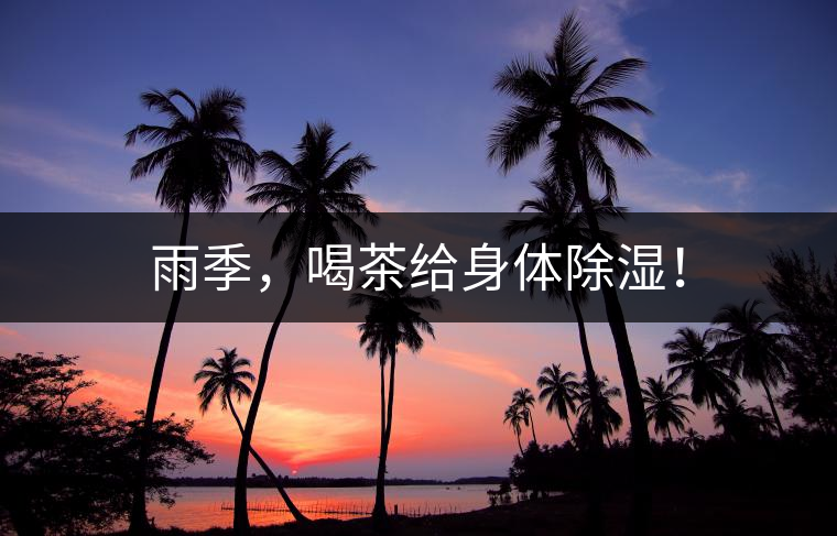 雨季，喝茶給身體除濕！