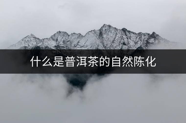什么是普洱茶的自然陳化 什么是普洱茶的自然陳化