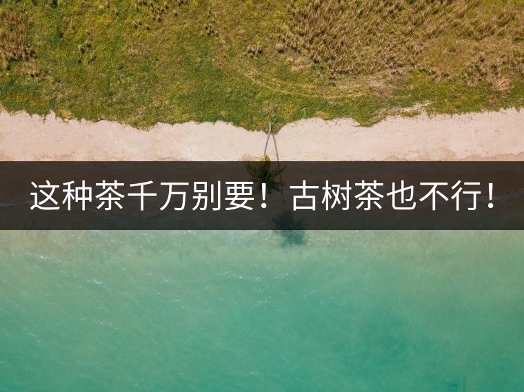 這種茶千萬(wàn)別要！古樹茶也不行！