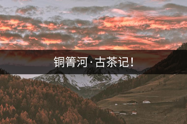 銅箐河·古茶記！