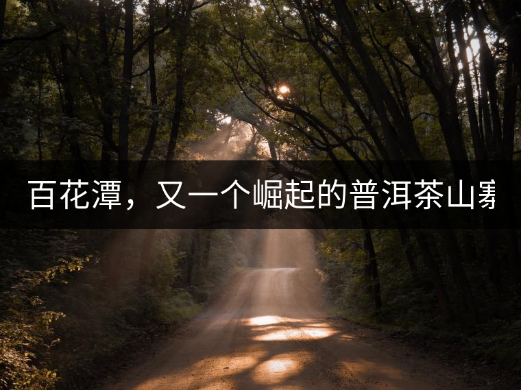 百花潭，又一個(gè)崛起的普洱茶山寨！