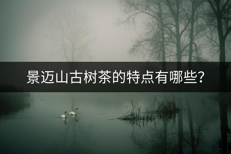 景邁山古樹茶的特點有哪些？