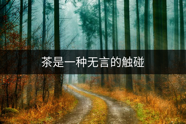 茶是一種無(wú)言的觸碰