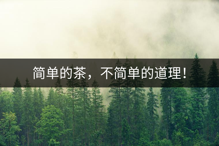 簡(jiǎn)單的茶，不簡(jiǎn)單的道理！