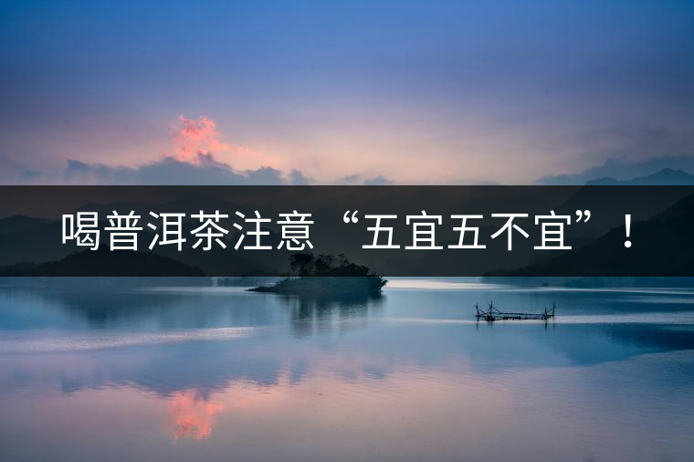 喝普洱茶注意“五宜五不宜”！