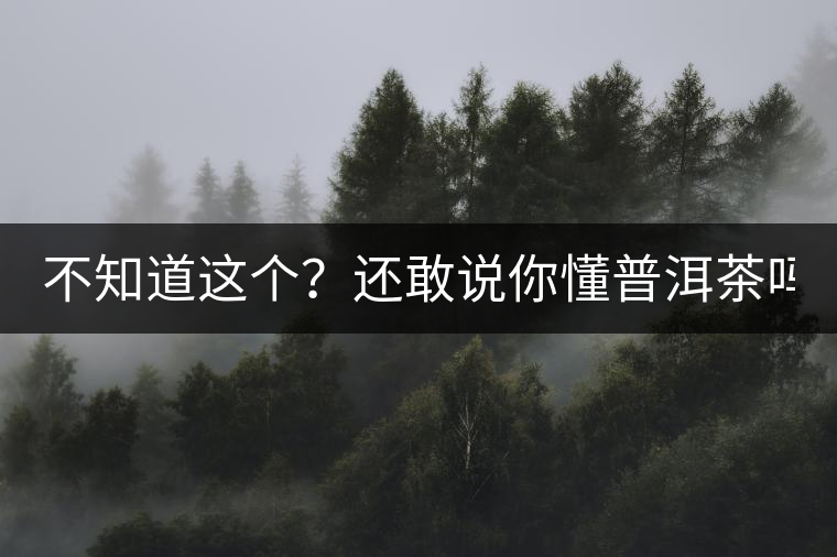 不知道這個(gè)？還敢說你懂普洱茶嗎？
