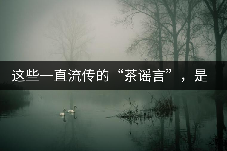 這些一直流傳的“茶謠言”，是時(shí)候知道真相了