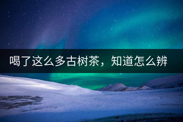 喝了這么多古樹(shù)茶，知道怎么辨別嗎？