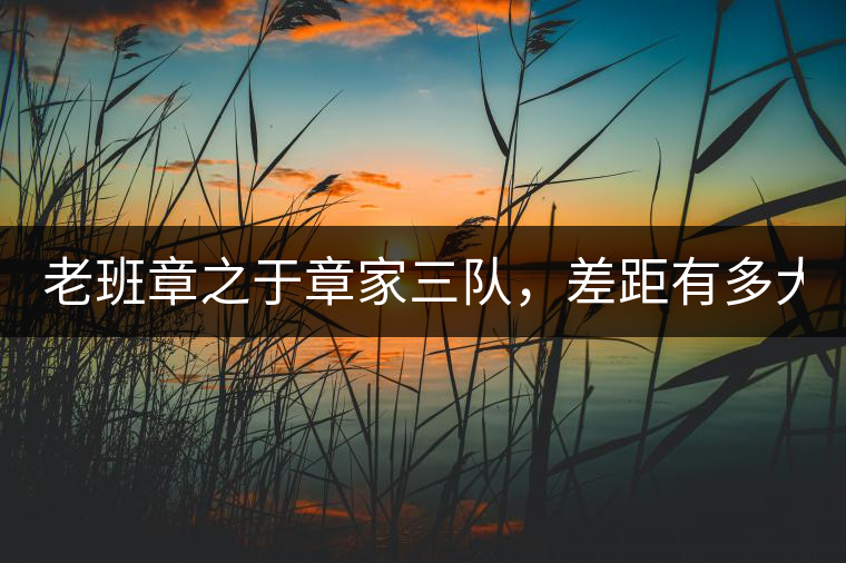 老班章之于章家三隊，差距有多大？