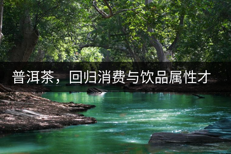 普洱茶，回歸消費(fèi)與飲品屬性才是正途