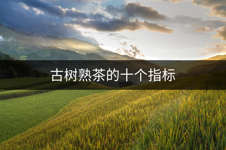 古樹熟茶的十個(gè)指標(biāo) 古樹熟茶的十個(gè)指標(biāo)