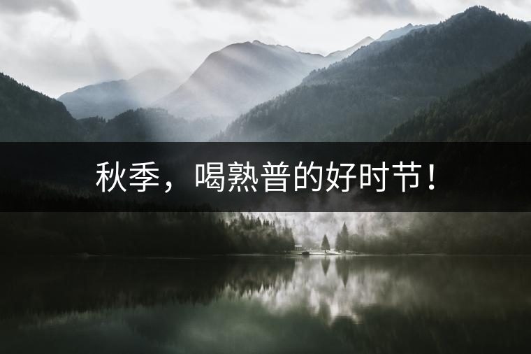 秋季，喝熟普的好時節(jié)！