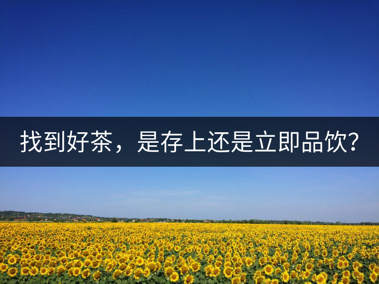 找到好茶，是存上還是立即品飲？