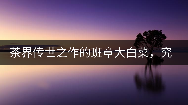 茶界傳世之作的班章大白菜，究竟有什么大來頭？