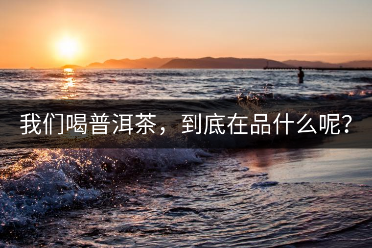 我們喝普洱茶，到底在品什么呢？