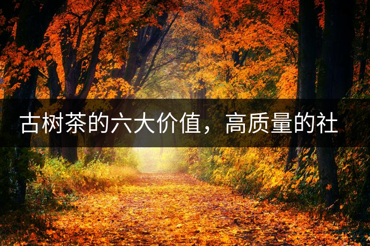 古樹茶的六大價值，高質量的社交都離不開古樹茶