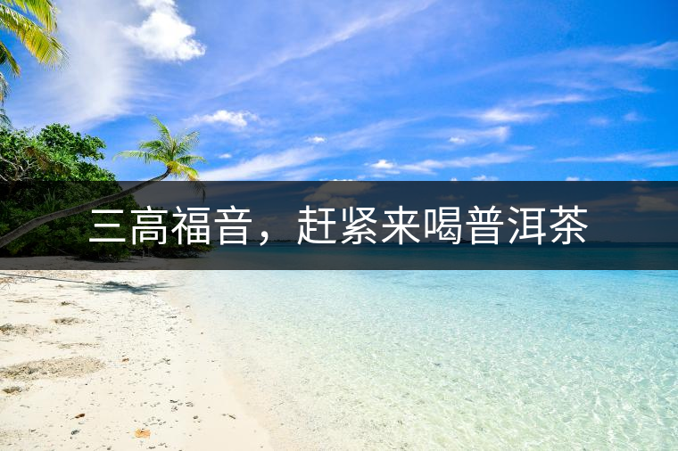 三高福音，趕緊來(lái)喝普洱茶