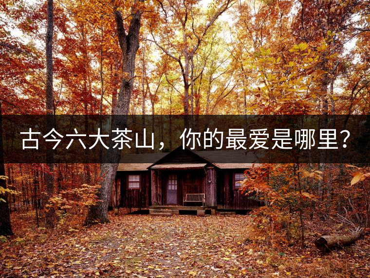古今六大茶山，你的最愛是哪里？