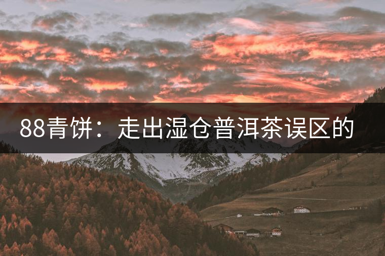 88青餅：走出濕倉(cāng)普洱茶誤區(qū)的功臣