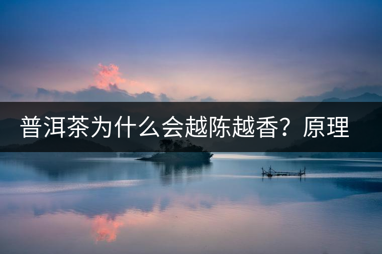 普洱茶為什么會越陳越香？原理是什么？