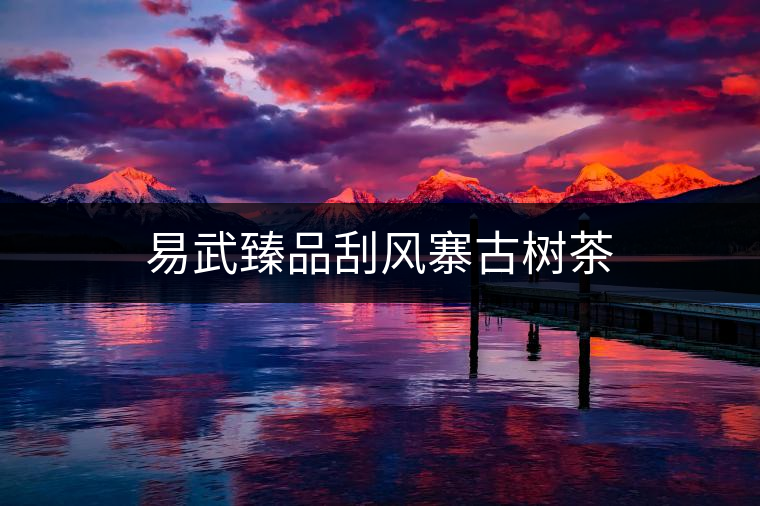 易武臻品刮風(fēng)寨古樹茶