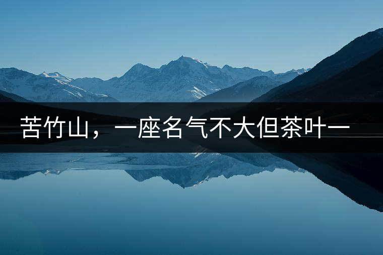 苦竹山，一座名氣不大但茶葉一流的古茶山