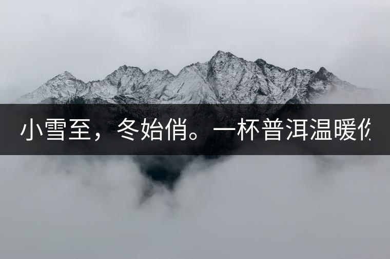 小雪至，冬始俏。一杯普洱溫暖你的冬天！