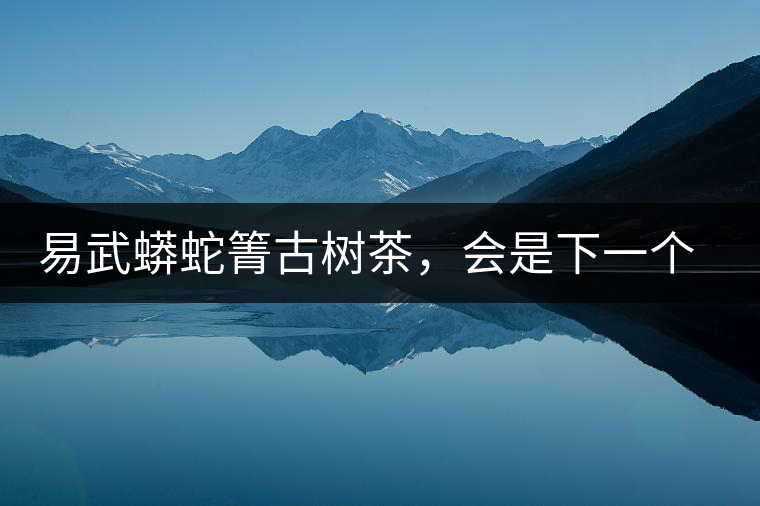 易武蟒蛇箐古樹茶，會(huì)是下一個(gè)銅箐河嗎？
