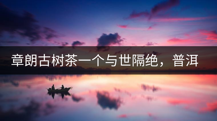 章朗古樹(shù)茶一個(gè)與世隔絕，普洱茶隔而不絕的地方