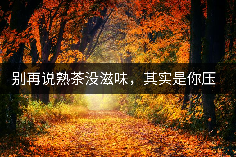 別再說熟茶沒滋味，其實是你壓根沒喝懂