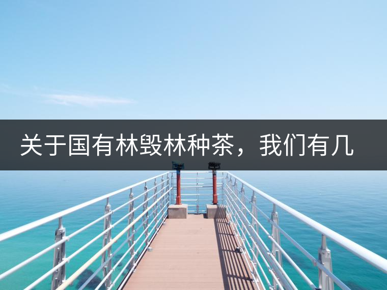 關(guān)于國(guó)有林毀林種茶，我們有幾點(diǎn)不得不說(shuō)