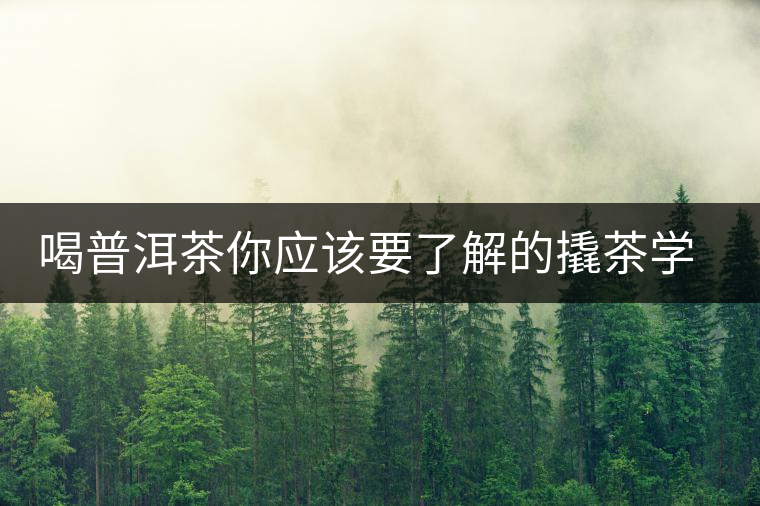 喝普洱茶你應(yīng)該要了解的撬茶學(xué)問