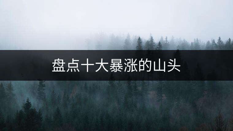 盤點(diǎn)十大暴漲的山頭