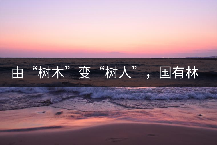 由“樹木”變“樹人”，國有林普洱茶為什么越來越受歡迎？