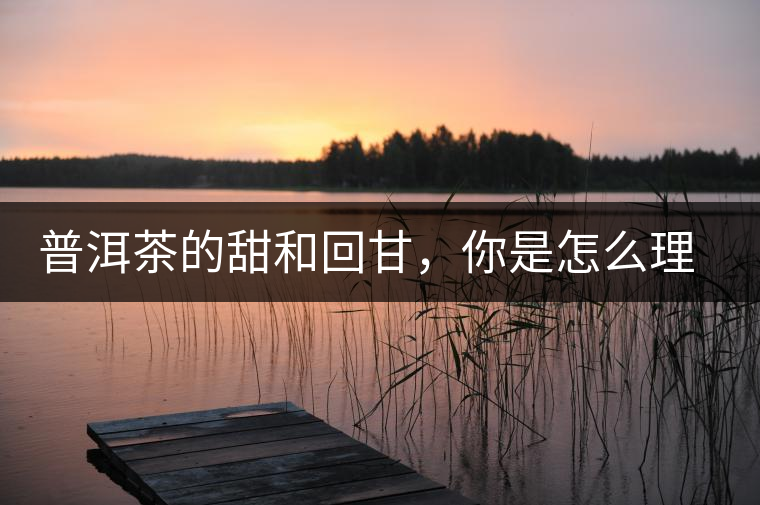 普洱茶的甜和回甘，你是怎么理解的？