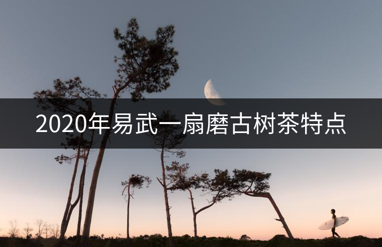 2020年易武一扇磨古樹茶特點(diǎn) 2020年易武一扇磨古樹茶特點(diǎn)