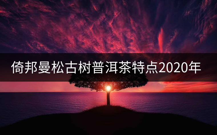 倚邦曼松古樹普洱茶特點2020年春茶價格