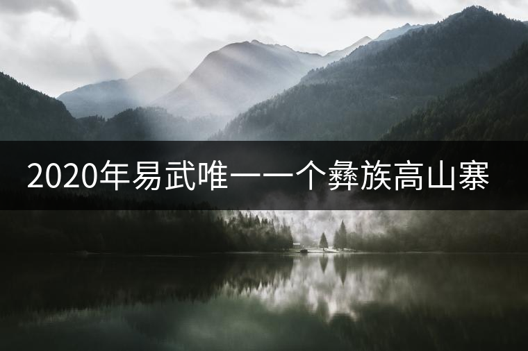 2020年易武唯一一個彝族高山寨普洱茶