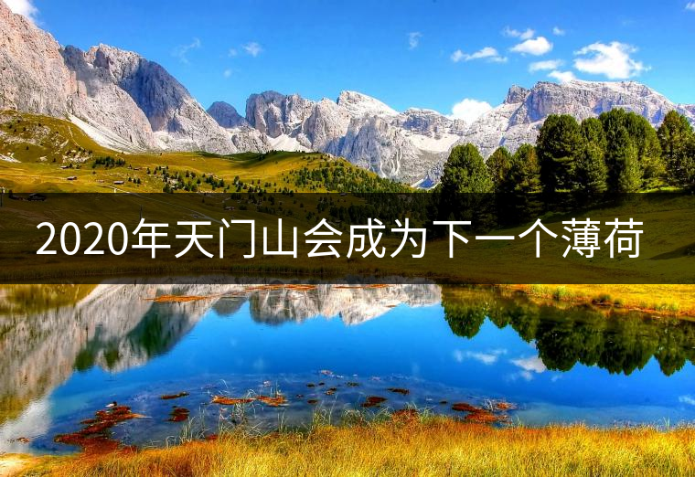 2020年天門山會成為下一個薄荷塘嗎？