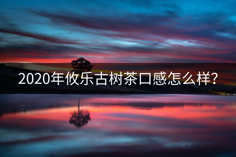 2020年攸樂古樹茶口感怎么樣？