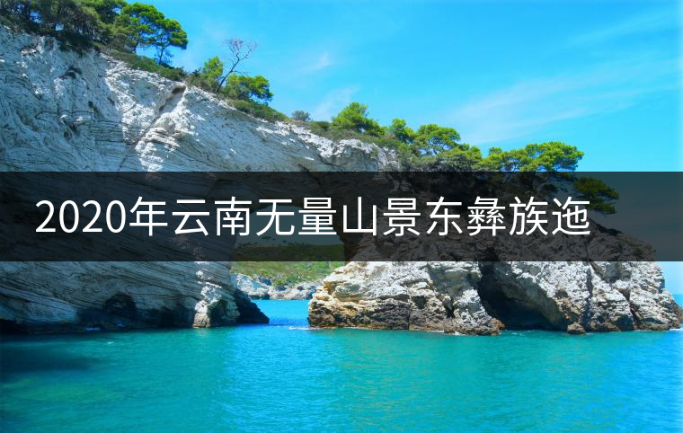 2020年云南無量山景東彝族迤倉(cāng)古樹普洱茶 2020年云南無量山景東彝族迤倉(cāng)古樹普洱茶