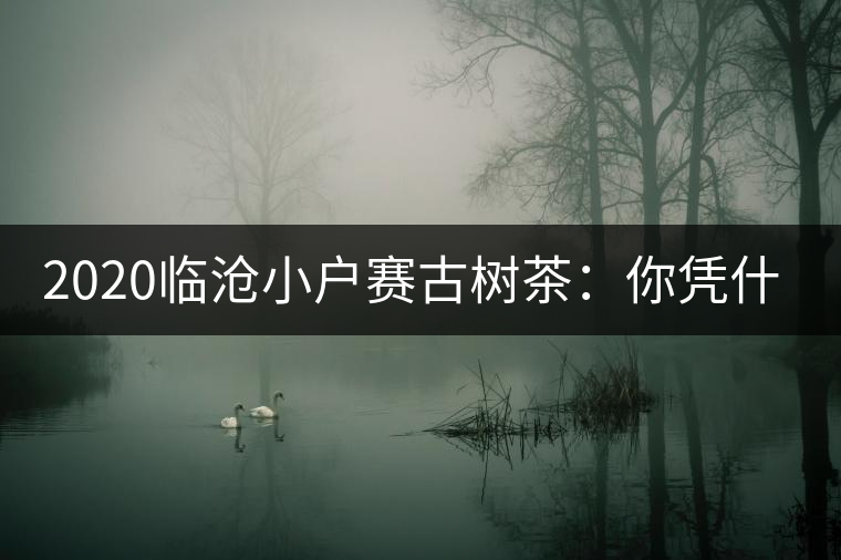 2020臨滄小戶賽古樹茶：你憑什么當(dāng)冰島賣？