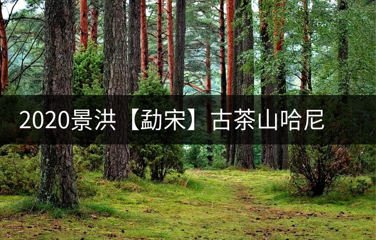 2020景洪【勐宋】古茶山哈尼年“嘎湯帕”圓滿結(jié)束，我們明年見