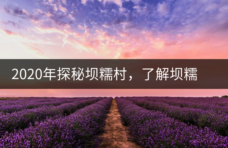 2020年探秘壩糯村，了解壩糯藤條茶的真相